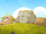 Taki Tanuki