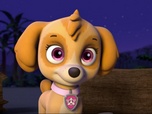 Paw Patrol, la Pat'Patrouille Paw Patrol, la Pat'Patrouille
