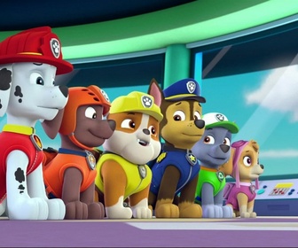 Paw Patrol, la Pat'Patrouille - S02 E39 - L'os de dinosaure