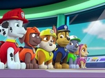 Paw Patrol, la Pat'Patrouille Paw Patrol, la Pat'Patrouille