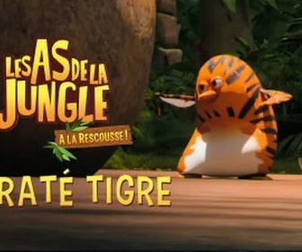 Les as de la jungle à la rescousse - Karaté tigre