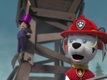 Paw Patrol, la Pat'Patrouille