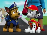 Paw Patrol, la Pat'Patrouille