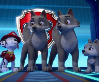Paw Patrol, la Pat'Patrouille - Le chanteur et les loups
