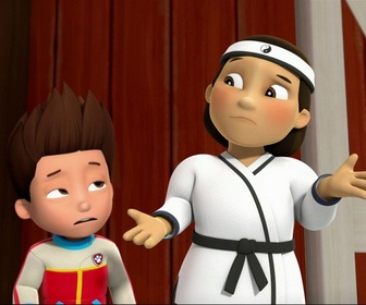 Paw Patrol, la Pat'Patrouille - Comme chiens et chats - 26'