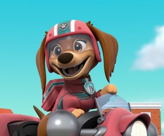 Paw Patrol, la Pat'Patrouille - Un ours dans la ville