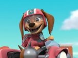 Paw Patrol, la Pat'Patrouille