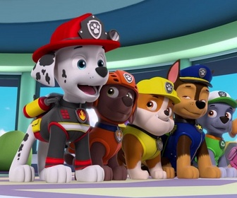 Paw Patrol, la Pat'Patrouille - Les drones de M. Hellinger