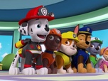 Paw Patrol, la Pat'Patrouille Paw Patrol, la Pat'Patrouille