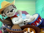 Paw Patrol, la Pat'Patrouille Paw Patrol, la Pat'Patrouille