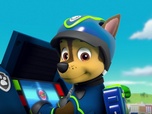 Paw Patrol, la Pat'Patrouille