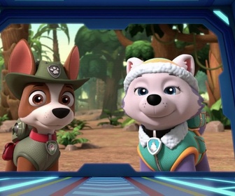 Paw Patrol, la Pat'Patrouille - Un éléphanteau joueur
