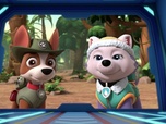 Paw Patrol, la Pat'Patrouille