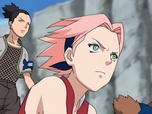 Naruto Shippuden Naruto Shippuden