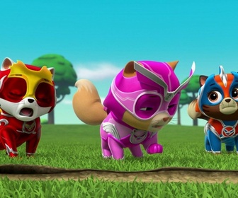 Compilation Paw Patrol, la Pat'Patrouille 4