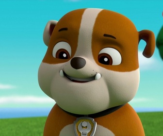 Paw Patrol, la Pat'Patrouille - Le robot-serveur détraqué