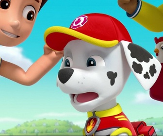 Paw Patrol, la Pat'Patrouille - Le match de basketball