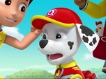 Paw Patrol, la Pat'Patrouille