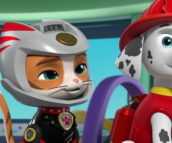 Paw Patrol, la Pat'Patrouille - La Pat' Patrouille rencontre les Super Chats