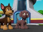 Paw Patrol, la Pat'Patrouille Paw Patrol, la Pat'Patrouille