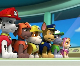 Paw Patrol, la Pat'Patrouille - Le robot de Ryder