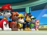 Paw Patrol, la Pat'Patrouille Paw Patrol, la Pat'Patrouille