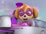 Paw Patrol, la Pat'Patrouille