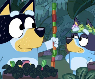 Bluey - 01/07/2026