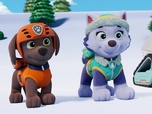 Paw Patrol, la Pat'Patrouille