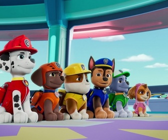 Paw Patrol, la Pat'Patrouille - La grande parade des jumeaux