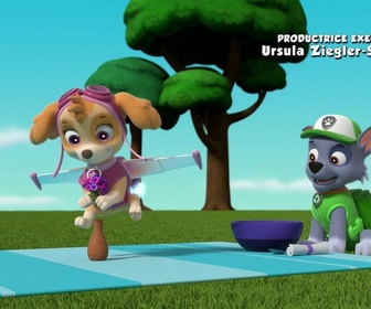 Paw Patrol, la Pat'Patrouille - La plus grosse omelette du monde