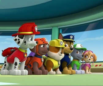 Paw Patrol, la Pat'Patrouille - Une livraison en péril
