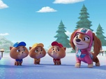 Paw Patrol, la Pat'Patrouille Paw Patrol, la Pat'Patrouille