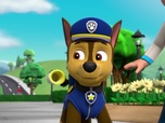 Paw Patrol, la Pat'Patrouille