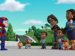 Paw Patrol, la Pat'Patrouille