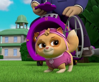 Paw Patrol, la Pat'Patrouille - La Piñata