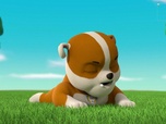 Paw Patrol, la Pat'Patrouille