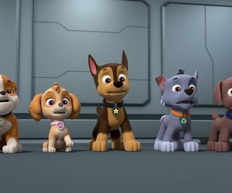 Paw Patrol, la Pat'Patrouille - Mission camion : Le concert de Luke Star