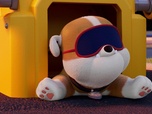 Paw Patrol, la Pat'Patrouille
