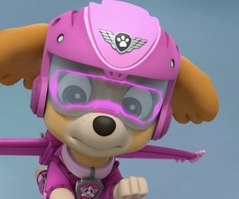 Paw Patrol, la Pat'Patrouille - Il neige sur la jungle