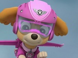Paw Patrol, la Pat'Patrouille Paw Patrol, la Pat'Patrouille