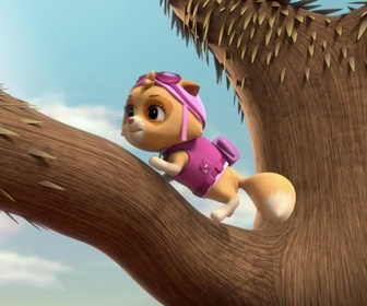 Paw Patrol, la Pat'Patrouille - Le concours du meilleur chili