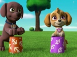 Paw Patrol, la Pat'Patrouille