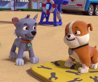 Compilation Paw Patrol, la Pat'Patrouille 19