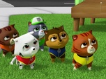 Paw Patrol, la Pat'Patrouille