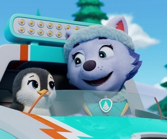 Paw Patrol, la Pat'Patrouille - Le bébé manchot