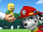 Paw Patrol, la Pat'Patrouille Paw Patrol, la Pat'Patrouille
