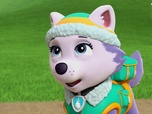 Paw Patrol, la Pat'Patrouille Paw Patrol, la Pat'Patrouille