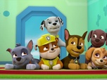 Paw Patrol, la Pat'Patrouille