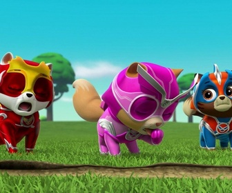 Compilation Paw Patrol, la Pat'Patrouille 9